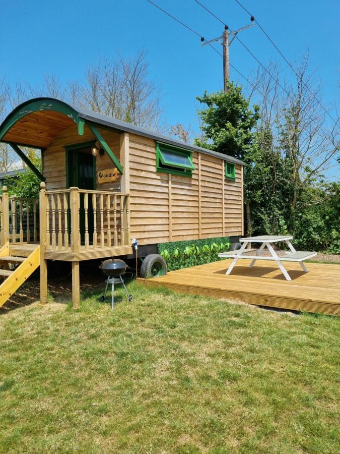 Woodie The Shepherds Hut - Sleeps 4 Chichester Luaran gambar